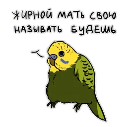 Злые попугайчики Telegram sticker pack