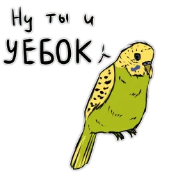 Злые попугайчики sticker 2