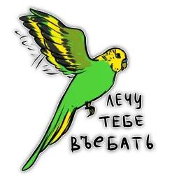 Злые попугайчики sticker 11