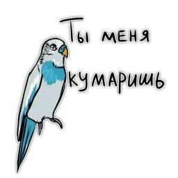 Злые попугайчики sticker 12