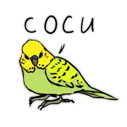 Злые попугайчики sticker 3