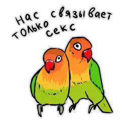 Злые попугайчики sticker 6