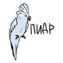 Злые попугайчики sticker 8