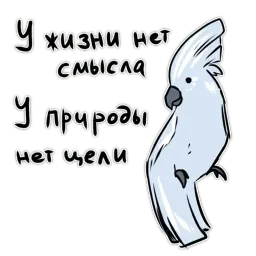Злые попугайчики sticker 9
