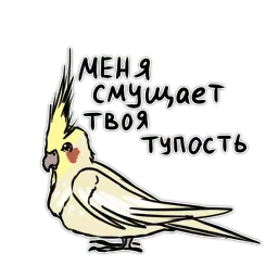 Злые попугайчики sticker 10