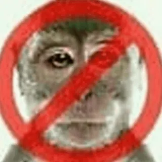 aistpidor sticker 4