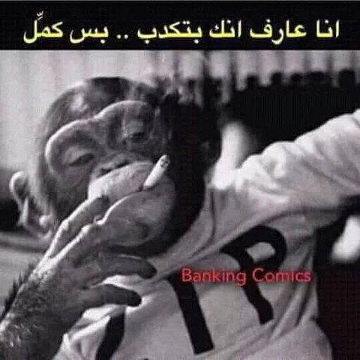 @Hamooalarky sticker 6