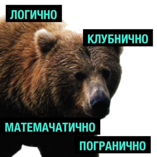 Личные стикеры Оли sticker 2
