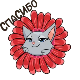 Анфиса возвращается! sticker 10