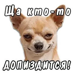 Животные Telegram sticker pack
