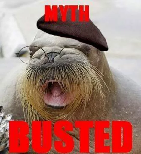 Funny Animals sticker 9