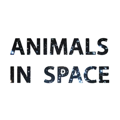 Animals in Space @mybeststickers Telegram sticker pack