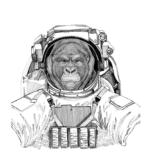 Animals in Space @mybeststickers sticker 2