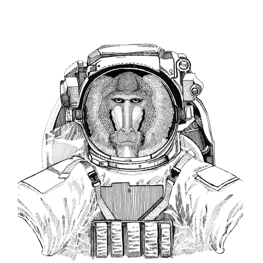 Animals in Space @mybeststickers sticker 8