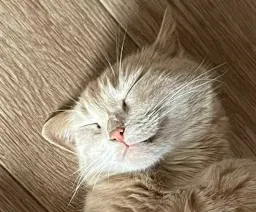 Классные животные sticker 2