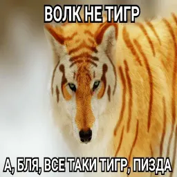 Антицирк Telegram sticker pack
