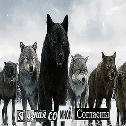 Антицирк sticker 3