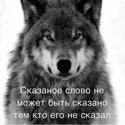 Антицирк sticker 8