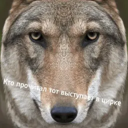 Антицирк sticker 10