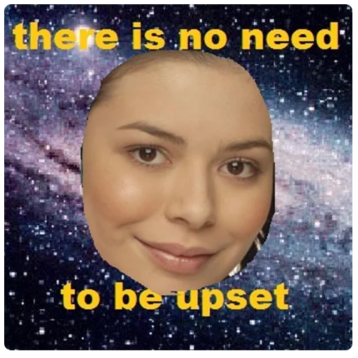 lieblingsmeme sticker 8