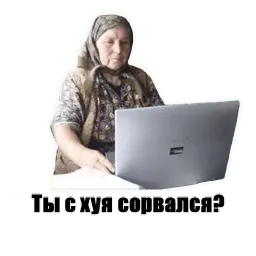 Anysova V.P. sticker 11