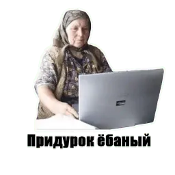 Anysova V.P. sticker 12