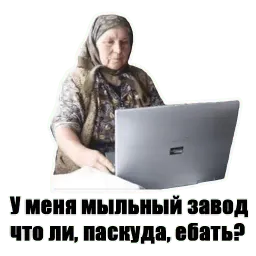 Anysova V.P. sticker 9