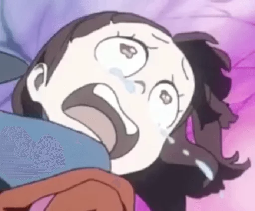 Akko Reaction Faces (By @Mafkumin) sticker 12