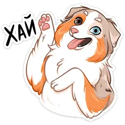 Аусси Раф Алина Николаева sticker 12