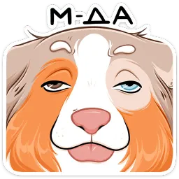 Аусси Раф Алина Николаева sticker 7