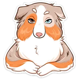 Аусси Раф Алина Николаева sticker 8