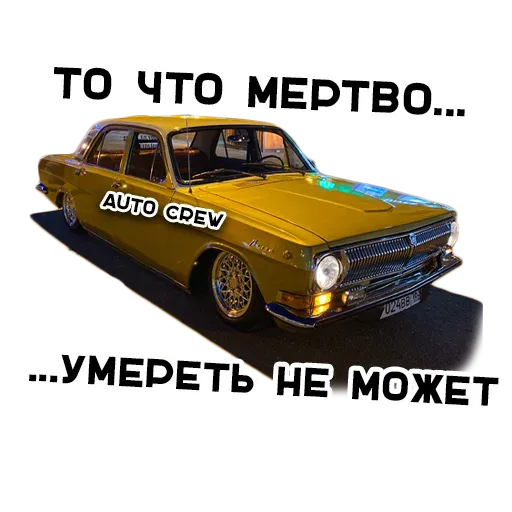 AutoCrew sticker 19