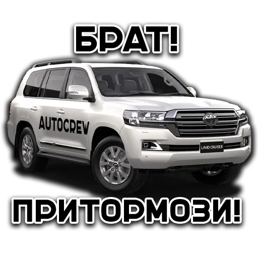 AutoCrew sticker 28