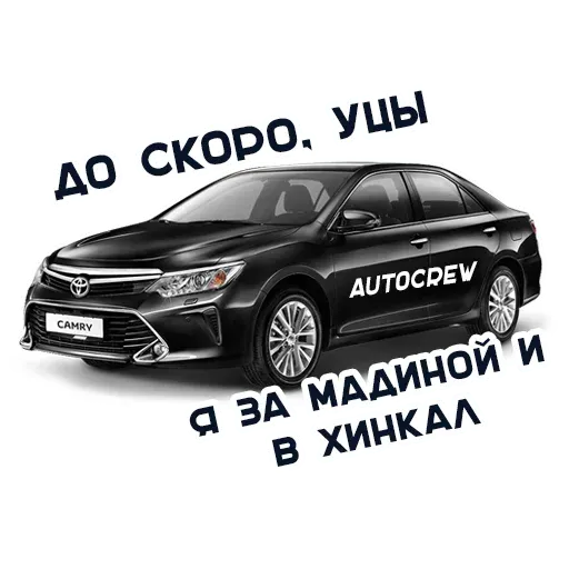 AutoCrew sticker 4