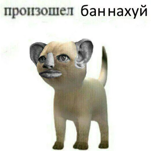 LocalBanNaxyi sticker 12