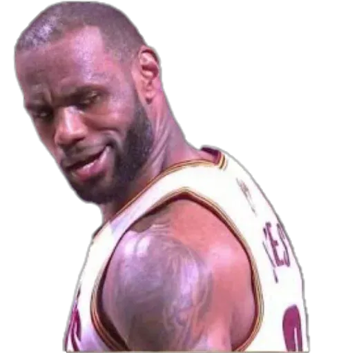 Nba sticker 13
