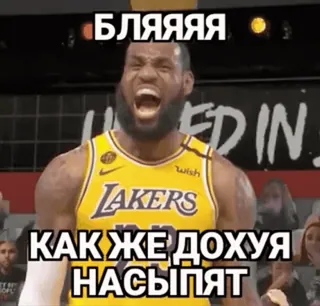 Nba sticker 87