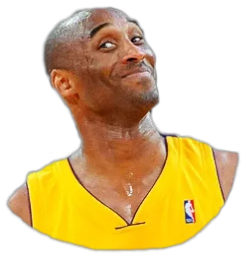 Nba sticker 10