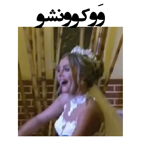 Behrad Abedi Pack3 sticker 7