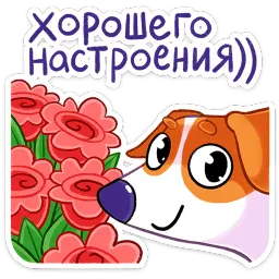 Пёсик Берт Маша Колядина sticker 4