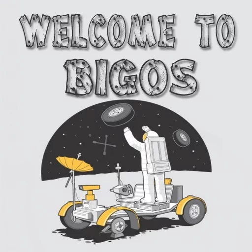 bigos sticker 5