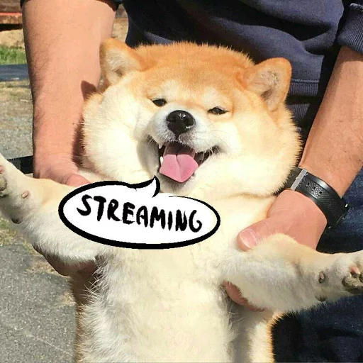 BigMeme sticker 12
