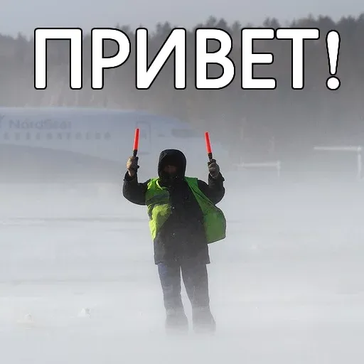 Бисквит sticker 61
