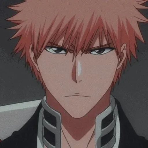 Bleach sticker 101