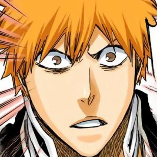 Bleach sticker 19