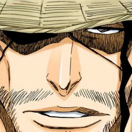 Bleach sticker 28