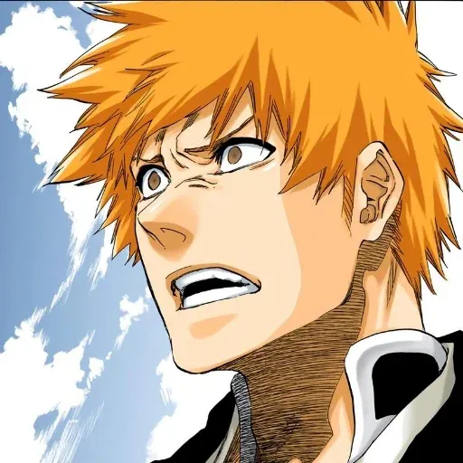 Bleach sticker 44