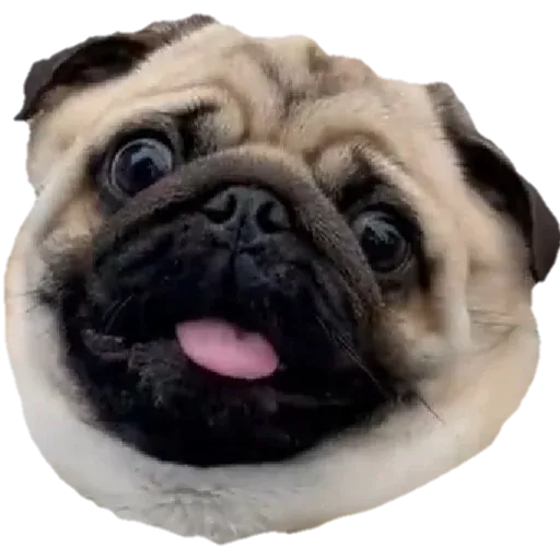 blueem0ji sticker 75