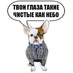 Sobachki Telegram sticker pack
