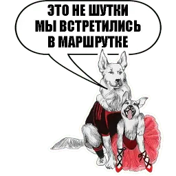 Sobachki sticker 3